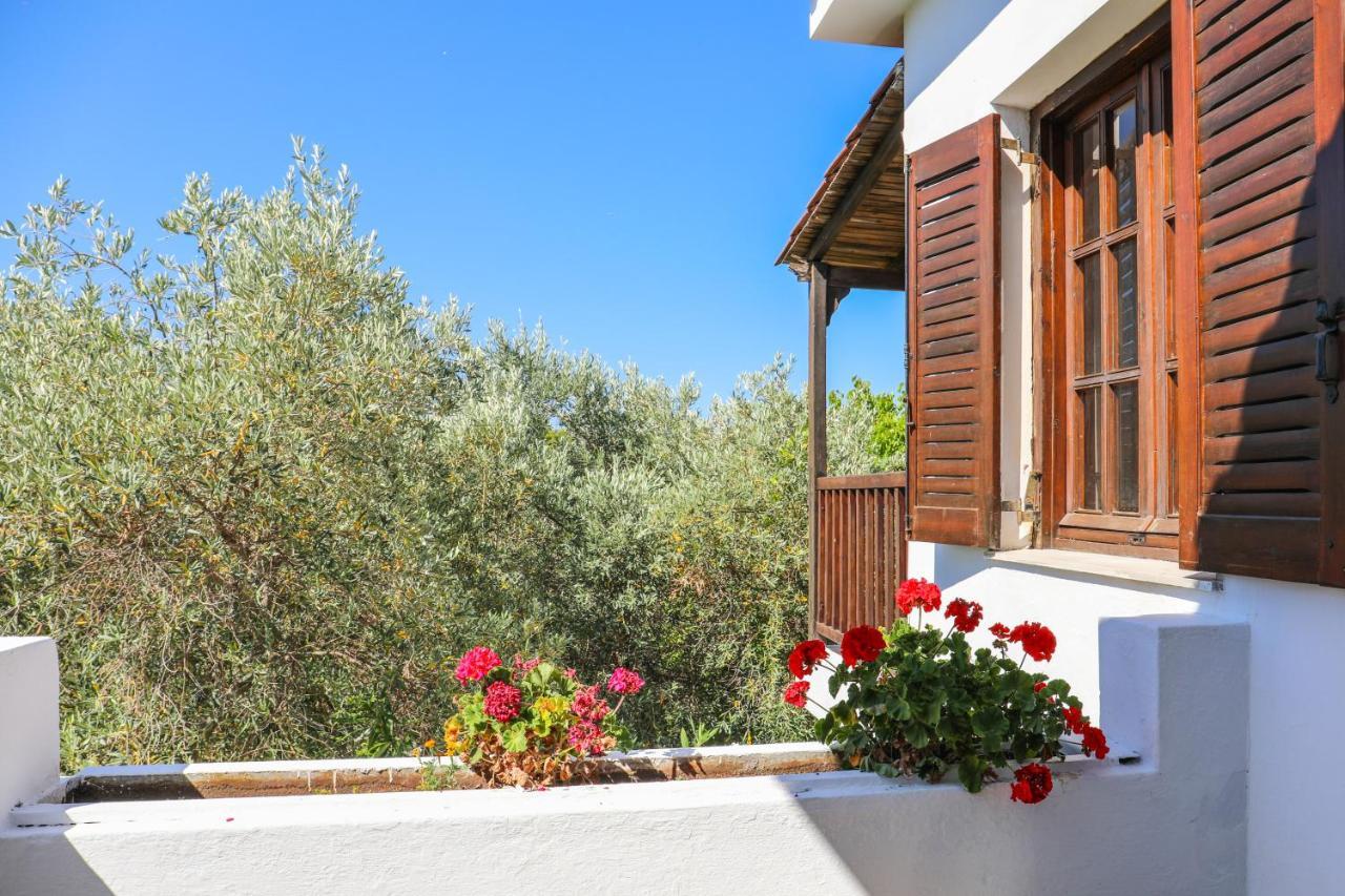 Pandora Studios Skiathos Kolios Exteriér fotografie